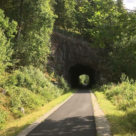 Willa Lilla Skottek Ulricehamn Zewnętrze zdjęcie